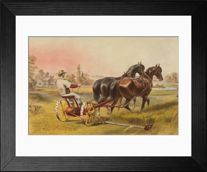 Framed Print : A farmer drives a horse-powered mowing machine, ca. 1870. The mower replaced the hand cutting of hay and grain with the ancient scythe (BSLOC_2019_8_203)