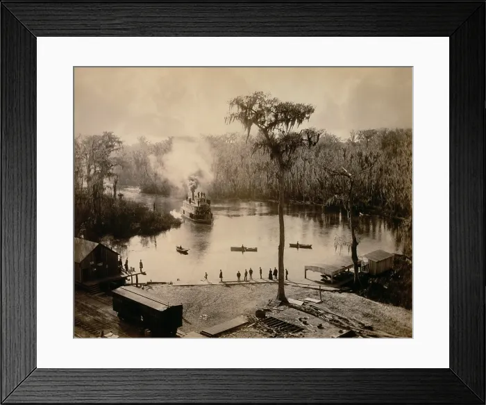Framed Print : Stern-Wheeler arriving at Silver Springs, Florida, in 1886. She was at the end of overnight trip up the St. Johns, Oklawaha, and Silver Rivers Framed Print : Stern-Wheeler arriving at Silver Springs, Florida, in 1886. She was at the end of overnight trip up the St. Johns, Oklawaha, and Silver Rivers