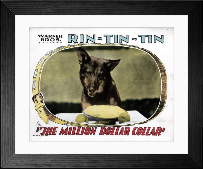 Framed Print : THE MILLION DOLLAR COLLAR, Rin Tin Tin, 1929