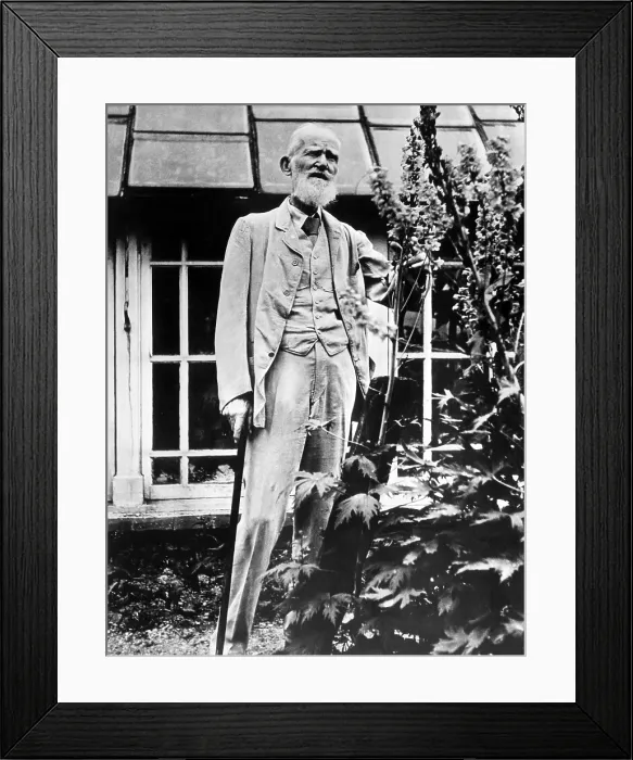 Framed Print : Playwright George Bernard Shaw at his country home in England on the eve of his 90th birthday. June 25, 1946. Courtesty: CSU Archives / Everett Collection Framed Print : Playwright George Bernard Shaw at his country home in England on the eve of his 90th birthday. June 25, 1946. Courtesty: CSU Archives / Everett Collection
