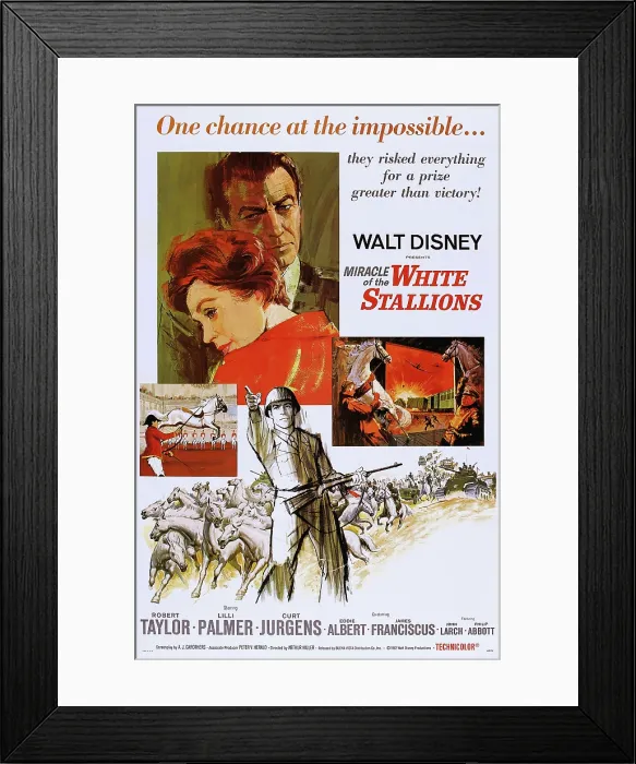 Framed Print : MIRACLE OF THE WHITE STALLIONS, US poster art, from left: Lilli Palmer, Robert Taylor, 1963