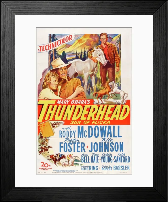 Framed Print : THUNDERHEAD, SON OF FLICKA, US poster art, from left: Rita Johnson, Preston Foster, Roddy McDowall, 1945. TM and Copyright 20th Century-Fox Film Corp
