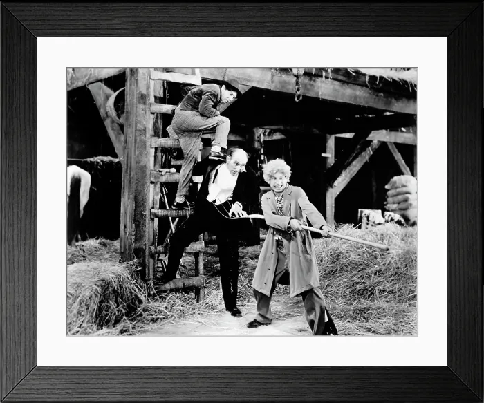 Framed Print : MONKEY BUSINESS, Chico Marx, Constantine Romanoff, Harpo Marx, 1931 Framed Print : MONKEY BUSINESS, Chico Marx, Constantine Romanoff, Harpo Marx, 1931
