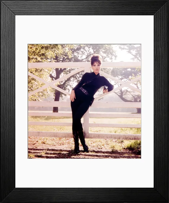 Framed Print : MODESTY BLAISE, Monica Vitti, 1966, TM & Copyright 20th Century Fox Film Corp. / courtesy Everett Collection