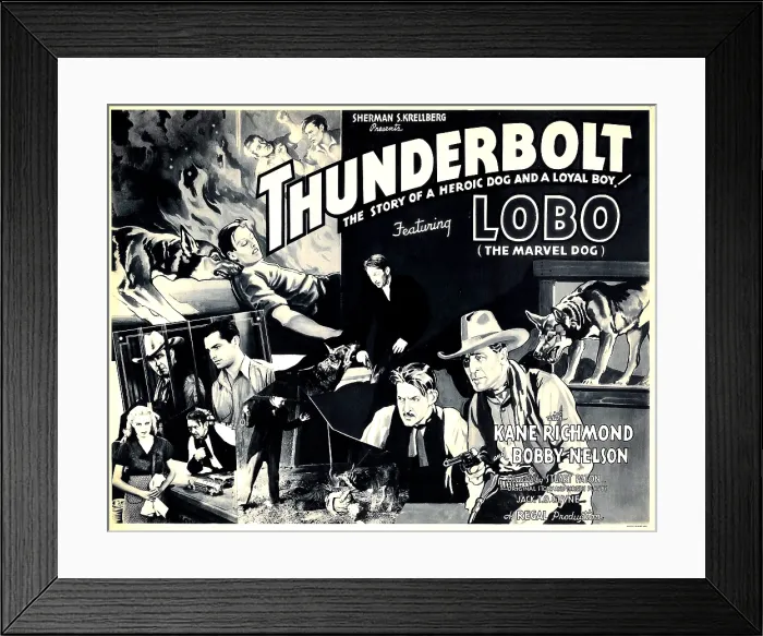 Framed Print : THUNDERBOLT, top left and bottom far right: Lobo the Marvel Dog, 1935