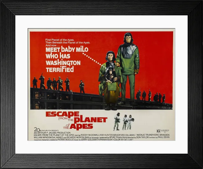 Framed Print : ESCAPE FROM THE PLANET OF THE APES, l-r: Kim Hunter, Roddy McDowall, 1971, TM and Copyright 20th Century Fox Film Corp. All rights reserved. / courtesy Everett Collection Framed Print : ESCAPE FROM THE PLANET OF THE APES, l-r: Kim Hunter, Roddy McDowall, 1971, TM and Copyright 20th Century Fox Film Corp. All rights reserved. / courtesy Everett Collection