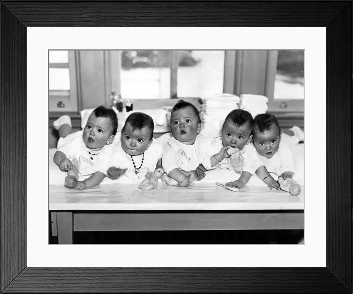 Framed Print : Dionne Quintuplets, Yvonne, Annette, Cecile, Emelie & Marie, born 5 / 28 / 34. Courtesy: CSU Archives / Everett Collection Framed Print : Dionne Quintuplets, Yvonne, Annette, Cecile, Emelie & Marie, born 5 / 28 / 34. Courtesy: CSU Archives / Everett Collection