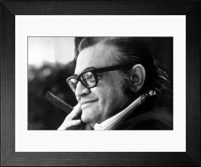 Framed Print : MARIO PUZO. Courtesy: CSU Archives  /  Everett Collection