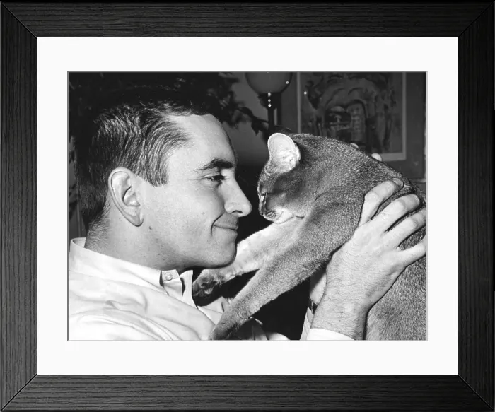 Framed Print : Edward Albee, ca. 1963. Courtesy: CSU Archives / Everett Collection Framed Print : Edward Albee, ca. 1963. Courtesy: CSU Archives / Everett Collection