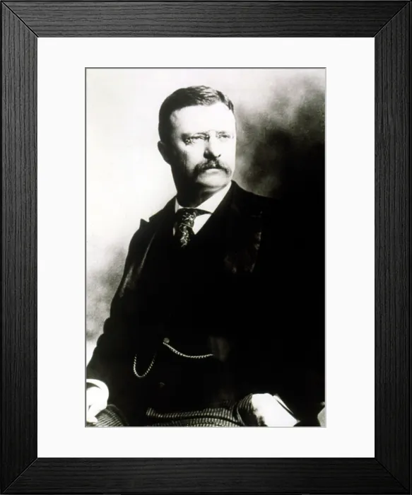 Framed Print : THEODORE ROOSEVELT. Courtesy: CSU Archives  /  Everett Collection