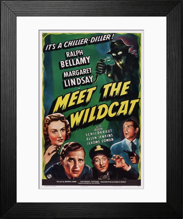 Framed Print : MEET THE WILDCAT, US poster art, from left: Margaret Lindsay, Ralph Bellamy, Allen Jenkins, Joseph Schildkraut, 1940 Framed Print : MEET THE WILDCAT, US poster art, from left: Margaret Lindsay, Ralph Bellamy, Allen Jenkins, Joseph Schildkraut, 1940