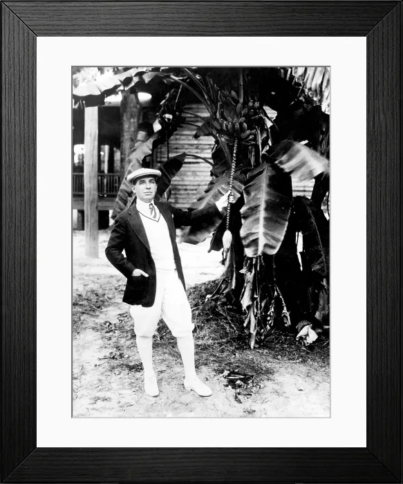 Framed Print : Charles Ponzi, (1882-1949), Italian-American investor, swindler, and originator of The Ponzi Scheme, c. 1920's.. Courtesy: CSU Archives  /  Everett Collection