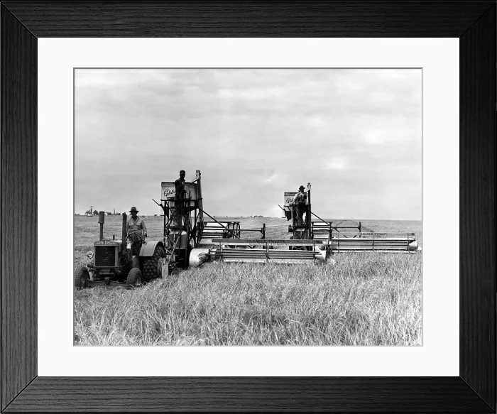 Framed Print : A tractor used to pull two combines on a big wheat farm near Spearman, Texas. 7 / 2 / 42. Courtesy of CSU Archives / Everett Collection Framed Print : A tractor used to pull two combines on a big wheat farm near Spearman, Texas. 7 / 2 / 42. Courtesy of CSU Archives / Everett Collection