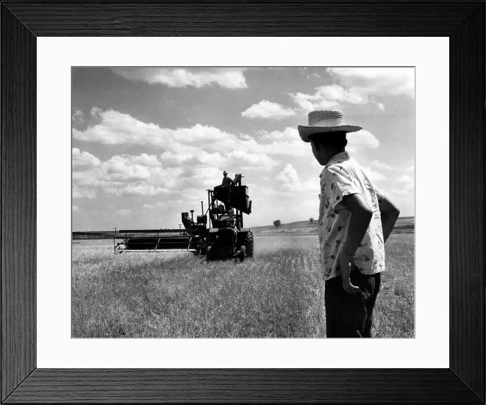 Framed Print : L.B. Selleck stands on a combine, while his daughter, Sandra takes over the tractor and his son, David, helps out in Kansas. 7 / 4 / 55. Courtesy of CSU Archives / Everett Collection Framed Print : L.B. Selleck stands on a combine, while his daughter, Sandra takes over the tractor and his son, David, helps out in Kansas. 7 / 4 / 55. Courtesy of CSU Archives / Everett Collection