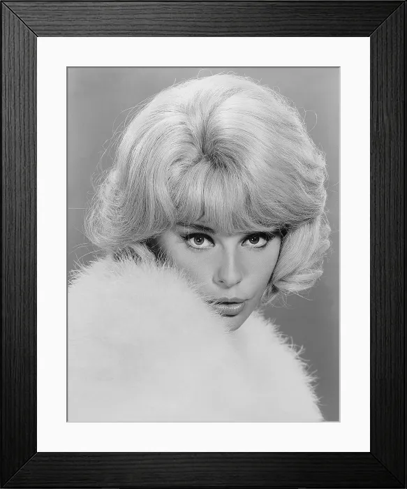 Framed Print : THE MONEY TRAP, Elke Sommer, 1965 Framed Print : THE MONEY TRAP, Elke Sommer, 1965