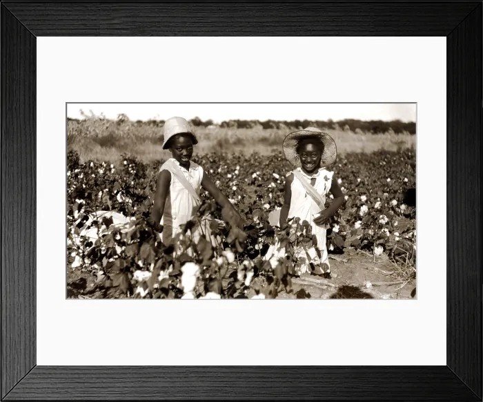 Framed Print : Children picking cotton, late 1800s. Courtesy: CSU Archives  /  Everett Collection