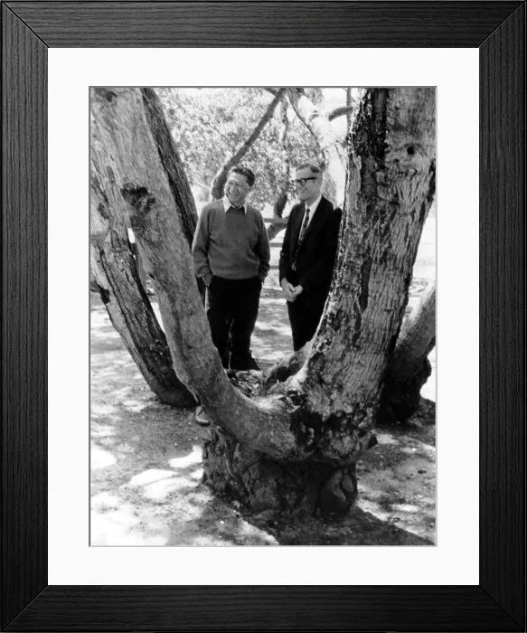 Framed Print : Abraham Maslow and Frank Goble, author, 1970s. Courtesy: CSU Archives / Everett Collection Framed Print : Abraham Maslow and Frank Goble, author, 1970s. Courtesy: CSU Archives / Everett Collection