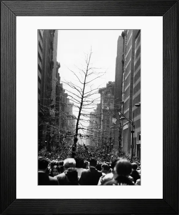Framed Print : A group of marchers carry a tree on 5th Avenue, as part of Earth Day. New York City, New York. 4 / 22 / 70. Courtesy CSU Archives / Everett Collection