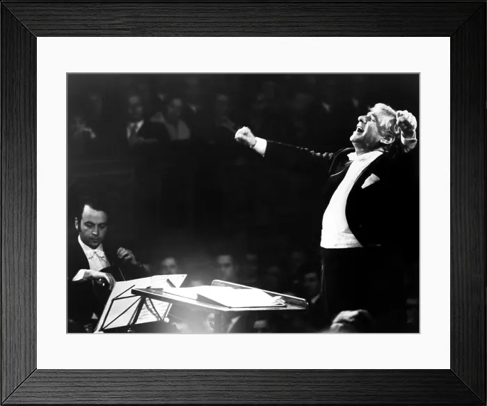 Framed Print : Leonard Bernstein conducts the Vienna Philharmonic, 1976. Courtesy: CSU Archives / Everett Collection