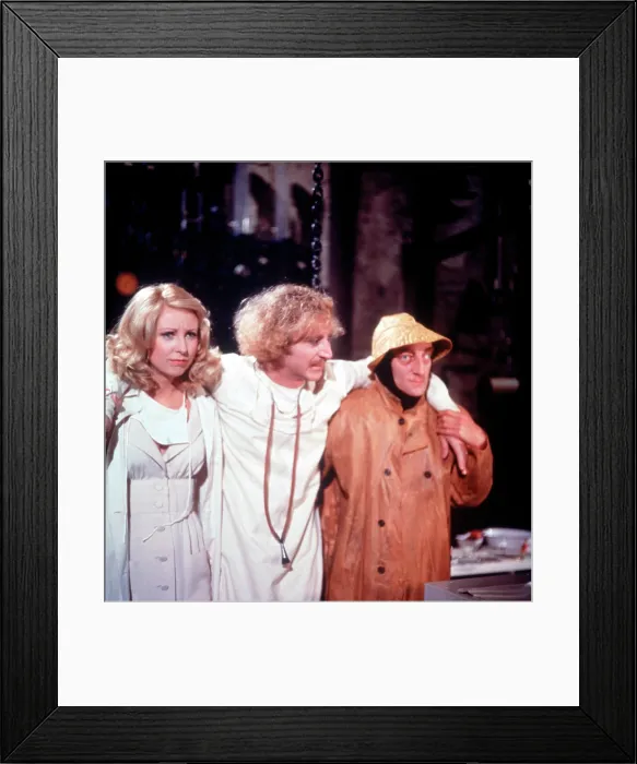 Framed Print : YOUNG FRANKENSTEIN, from left: Teri Garr, Gene Wilder, Marty Feldman, 1974, TM & Copyright 20th Century Fox Film Corp. / courtesy Everett Collection