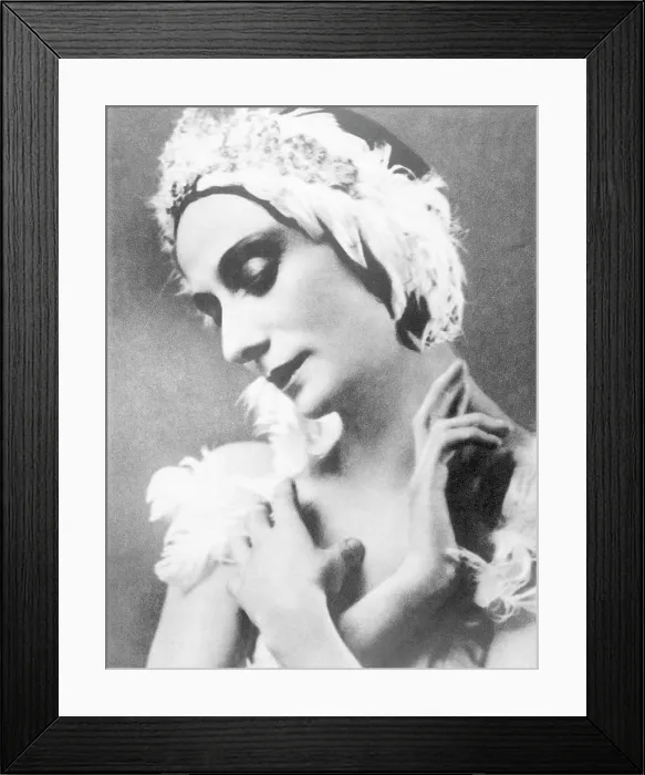 Framed Print : Russian ballet dancer Anna Pavlova, in her role of the swan in The Dying Swan, c. 1910's.. Courtesy: CSU Archives  /  Everett Collection