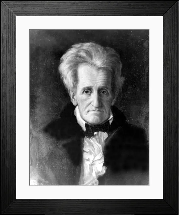 Framed Print : Andrew Jackson (1767-1845) 7th U.S. President, 1845 portrait by George Healy.. Courtesy: CSU Archives  /  Everett Collection