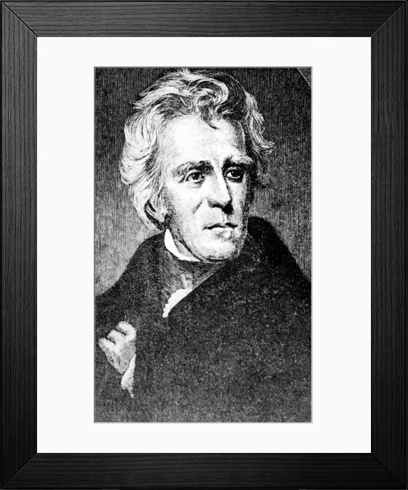 Framed Print : Andrew Jackson (1767-1845) 7th U.S. President.. Courtesy: CSU Archives  /  Everett Collection