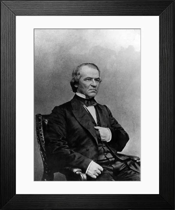Framed Print : Andrew Johnson, 17th President, ca. 1860s. Courtesy: CSU Archives / Everett Collection