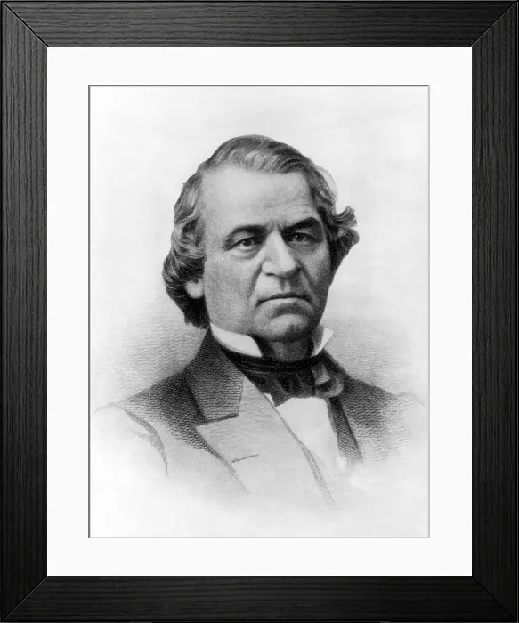 Framed Print : Andrew Johnson, 17th President, ca. 1860s. Courtesy: CSU Archives / Everett Collection