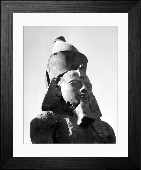 Framed Print : The head of the huge statue of Ramses II, one of Egypts most famous pharaohs, in the temple of Luxor that faces the Avenue of the Sphinxes Framed Print : The head of the huge statue of Ramses II, one of Egypts most famous pharaohs, in the temple of Luxor that faces the Avenue of the Sphinxes
