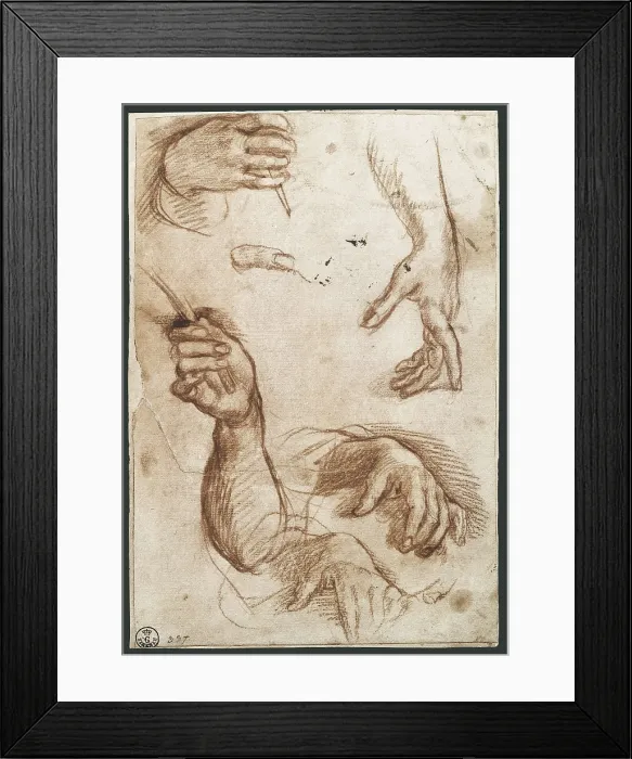 Framed Print : SARTO, Andrea del (1486-1531). Study of Hands. beg. 16th c. Charcoal drawing. Baroque art. Drawing. ITALY. Florence. Galleria degli Uffizi (Uffizi Gallery) Framed Print : SARTO, Andrea del (1486-1531). Study of Hands. beg. 16th c. Charcoal drawing. Baroque art. Drawing. ITALY. Florence. Galleria degli Uffizi (Uffizi Gallery)