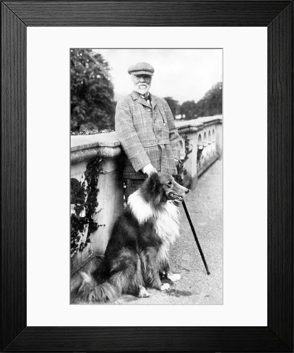 Framed Print : Andrew Carnegie, 1910s. Courtesy: CSU Archives / Everett Collection Framed Print : Andrew Carnegie, 1910s. Courtesy: CSU Archives / Everett Collection