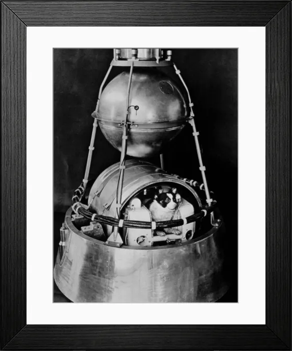 Framed Print : SPUTNIK II, launched by Russia in 1957, with dog inside.. Courtesy: CSU Archives  /  Everett Collection