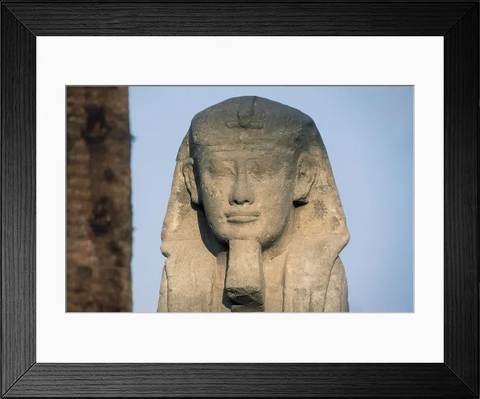 Framed Print : Temple of Amon - Ra. EGYPT. QUENA. Luksor. Thebes. Temple of Amon - Ra. Avenue of ram's-head sphinxes. Detail of a sphinx. Egyptian art. New Kingdom. Architecture