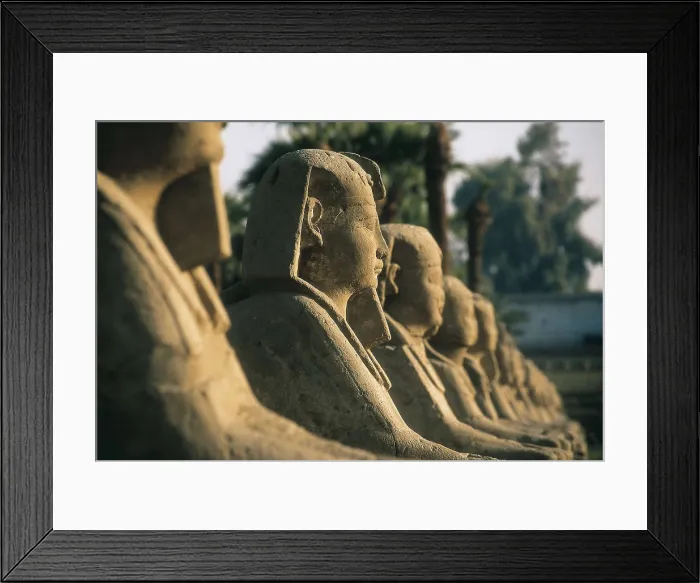 Framed Print : Temple of Amon - Ra. EGYPT. QUENA. Luksor. Thebes. Temple of Amon - Ra. Sphinx Avenue. Egyptian art. New Kingdom. Architecture. AISA / Everett Collection**US SALES ONLY**