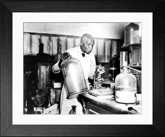 Framed Print : EV1880 - Dr. George Washington Carver, agricultural scientist, c. 1937. Courtesy: CSU Archives  /  Everett Collection