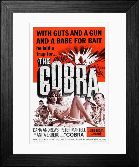 Framed Print : THE COBRA, US poster art, Dana Andrews, Anita Ekberg (center), 1968