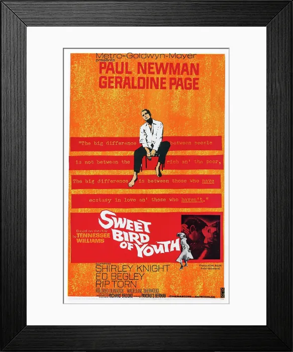 Framed Print : SWEET BIRD OF YOUTH, US poster art, Paul Newman, 1962 Framed Print : SWEET BIRD OF YOUTH, US poster art, Paul Newman, 1962