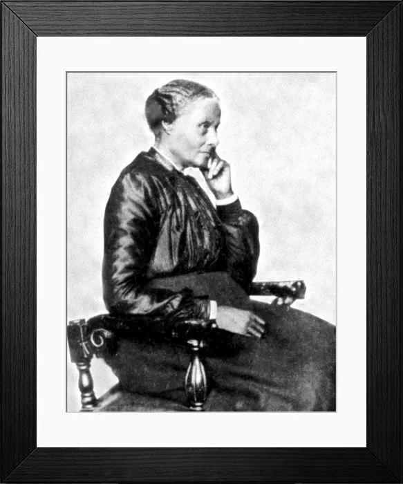 Framed Print : Mary Ellen Pleasant, early African American businesswoman, c. 1860's. Courtesy: CSU Archives / Everett Collection Framed Print : Mary Ellen Pleasant, early African American businesswoman, c. 1860's. Courtesy: CSU Archives / Everett Collection