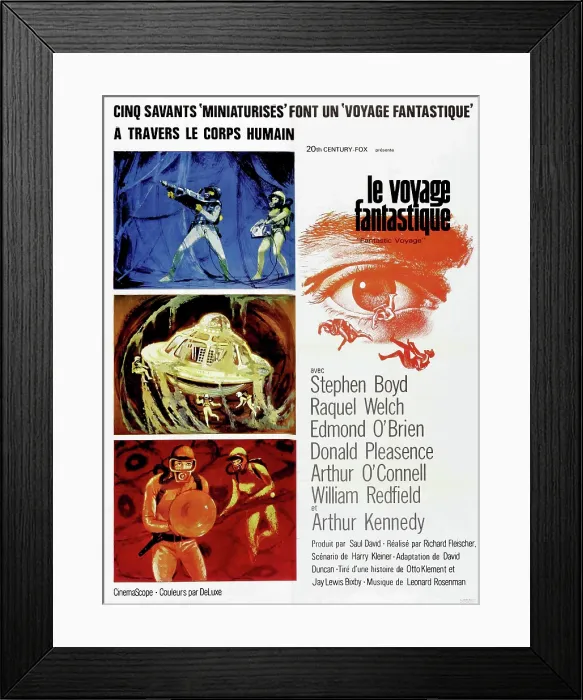 Framed Print : FANTASTIC VOYAGE (aka LE VOYAGE FANTASTIQUE), French poster art, 1966, TM and Copyright 20th Century Fox Film Corp. All rights reserved. / courtesy Everett Collection