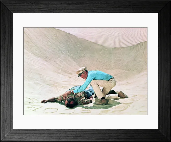 Framed Print : FLIGHT OF THE PHOENIX, THE, Ernest Borgnine, James Stewart, 1965 Framed Print : FLIGHT OF THE PHOENIX, THE, Ernest Borgnine, James Stewart, 1965