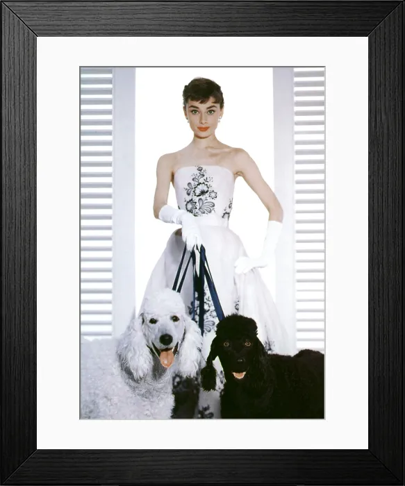 Framed Print : SABRINA, Audrey Hepburn, 1954
