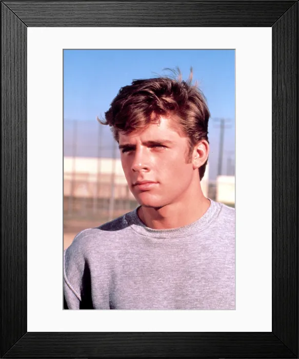 Framed Print : GREASE 2, Maxwell Caulfield, 1982