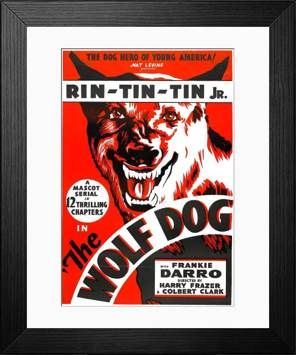 Framed Print : THE WOLF DOG, Rin Tin Tin Jr. 1933