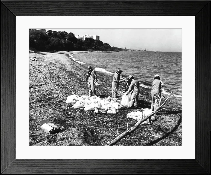 Framed Print : Workers cleaning up oil at the beach of Wildwood / Cleveland Lakefront State Park, ca. 1976. Courtesy: CSU Archives / Everett Collection Framed Print : Workers cleaning up oil at the beach of Wildwood / Cleveland Lakefront State Park, ca. 1976. Courtesy: CSU Archives / Everett Collection