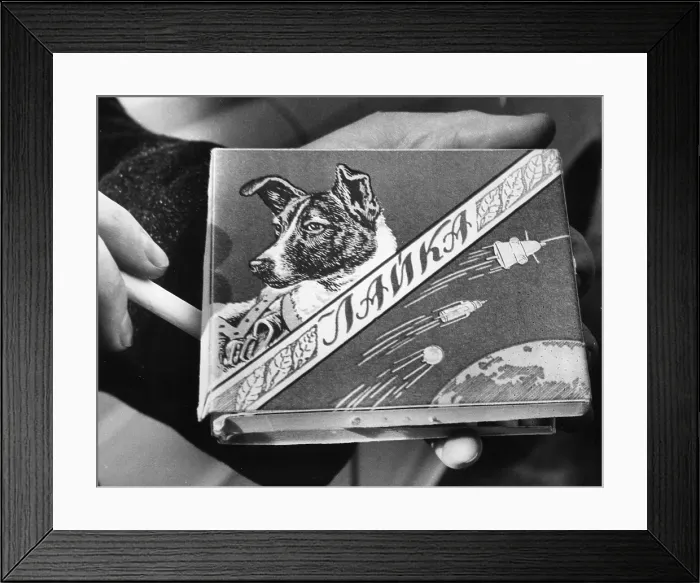 Framed Print : Laika the Russian space dog, first creature to orbit the earth has a brand of cigarettes named for him, 1960. Courtesy: CSU Archives  /  Everett Collection