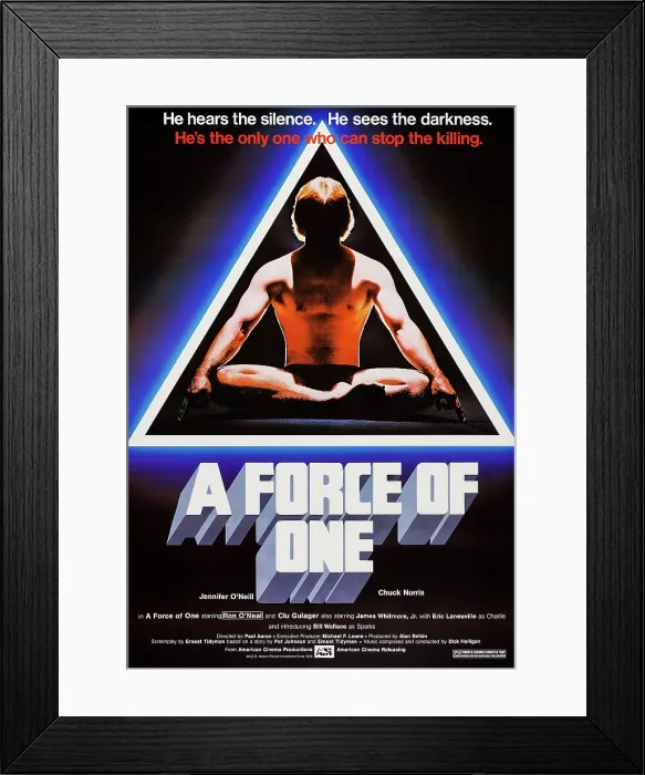Framed Print : A FORCE OF ONE, US poster art, Chuck Norris, 1979, American Cinema Releasing / courtesy Everett Collection Framed Print : A FORCE OF ONE, US poster art, Chuck Norris, 1979, American Cinema Releasing / courtesy Everett Collection