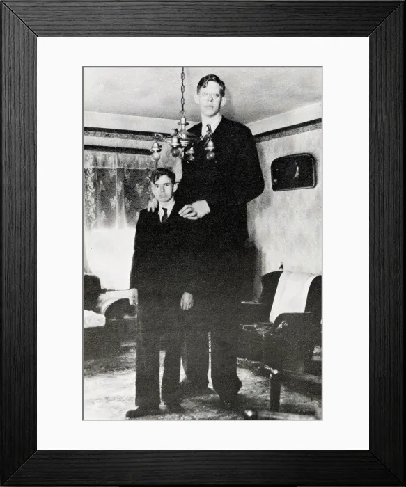 Framed Print : Robert Wadlow (1918-1940) World's Tallest man @ 8'11.1' 1938. Courtesy: CSU Archives / Everett Collection Framed Print : Robert Wadlow (1918-1940) World's Tallest man @ 8'11.1' 1938. Courtesy: CSU Archives / Everett Collection