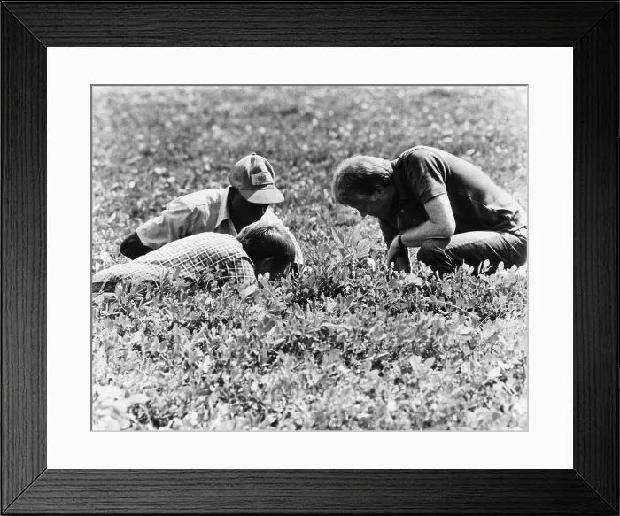 Framed Print : President Jimmy Carter at his peanut farm in Plains, Georgia, 1977. Courtesy: CSU Archives / Everett Collection