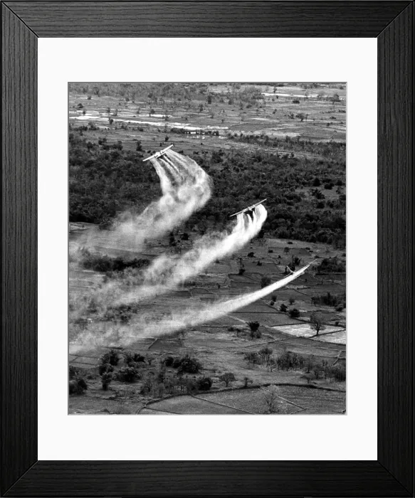Framed Print : VIETNAM WAR, Crop duster airplanes spray Vietnamese countryside with napalm. photo dated 09 / 21 / 66.. Courtesy: CSU Archives / Everett Collection Framed Print : VIETNAM WAR, Crop duster airplanes spray Vietnamese countryside with napalm. photo dated 09 / 21 / 66.. Courtesy: CSU Archives / Everett Collection
